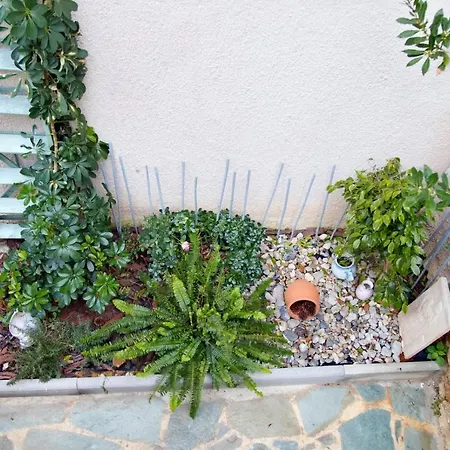 Villa Athens Bounty Garden House 2BR 2BA Free Parking Exterior foto