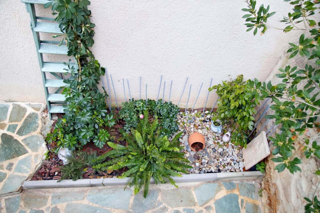 Aroura Homes Garden House 2br 2ba Free Parking Athene